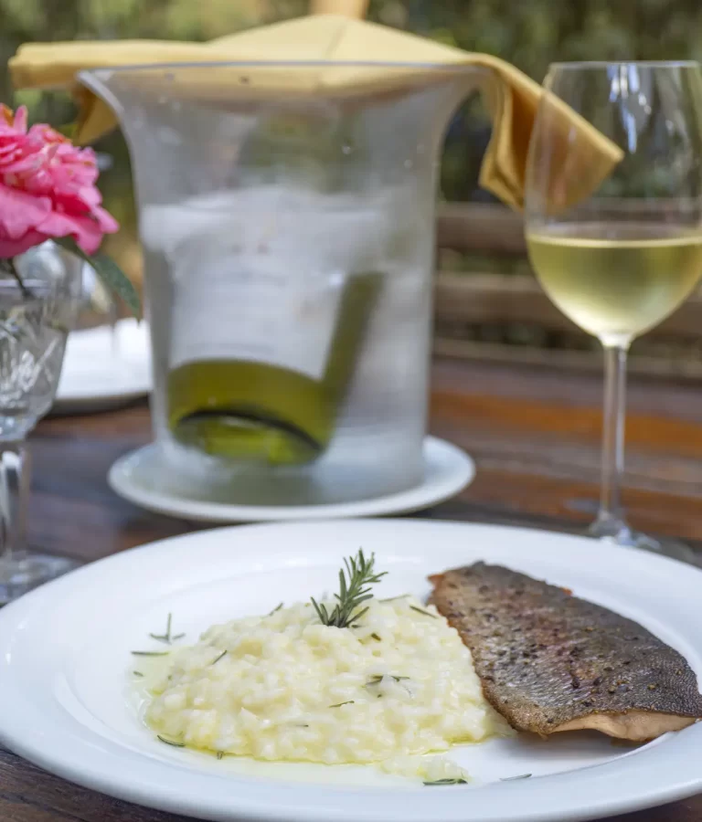Risoto servido com vinho branco